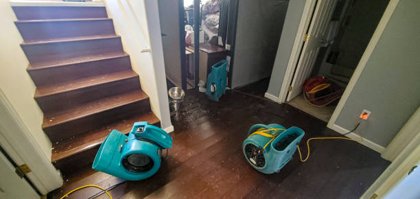 Best Local water damage restoration  in West Sharyland, TX