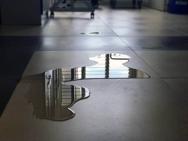 Best Local water damage restoration  in West Sharyland, TX