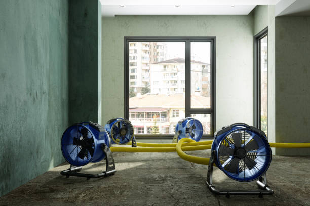 Best Flood restoration services  in West Sharyland, TX